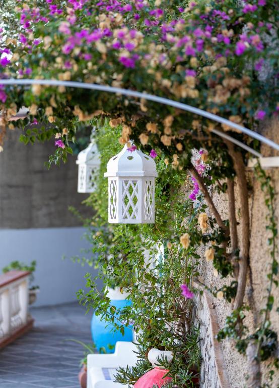 B&B Orto Paradiso