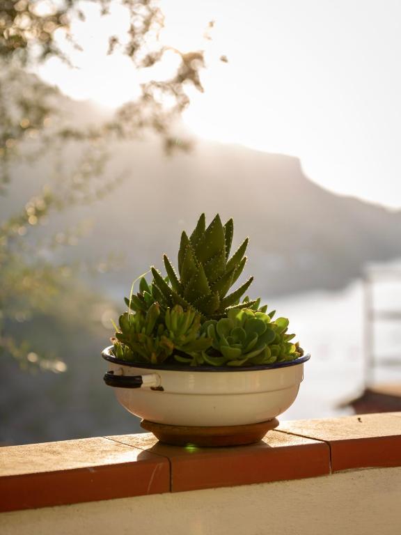 B&B Orto Paradiso