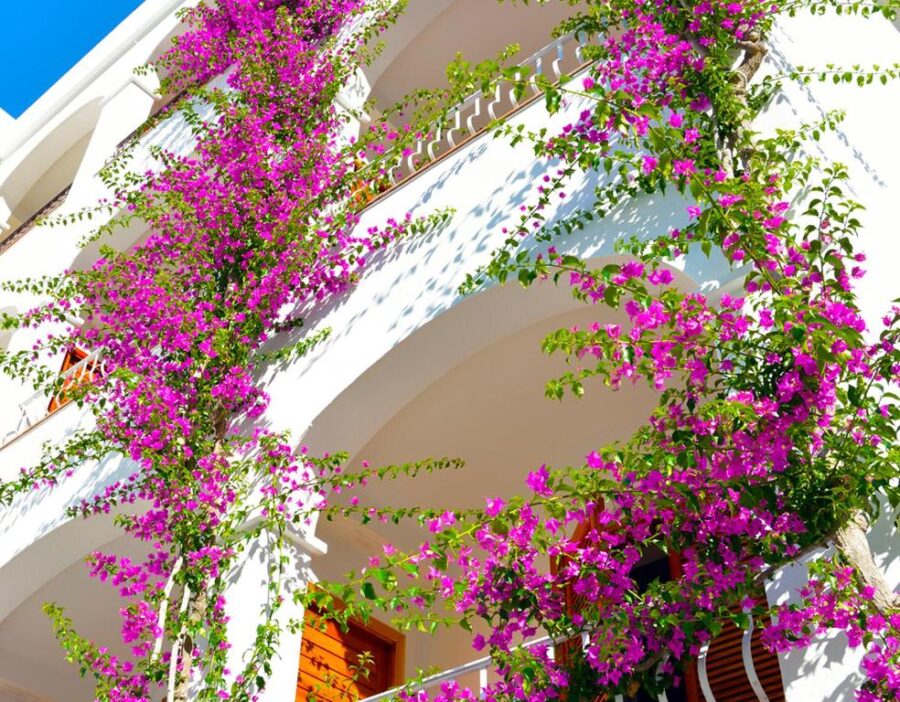 Hotel Villa Romana