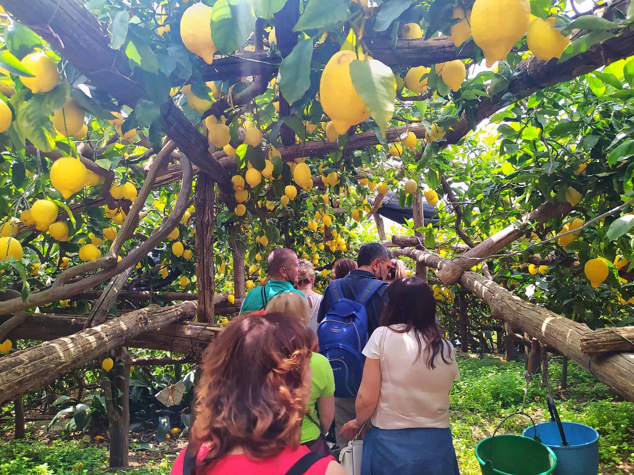 Escursione al sentiero dei limoni costiera amalfitana