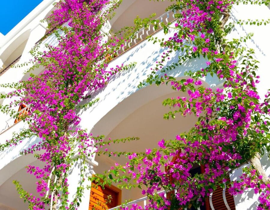 Hotel Villa Romana